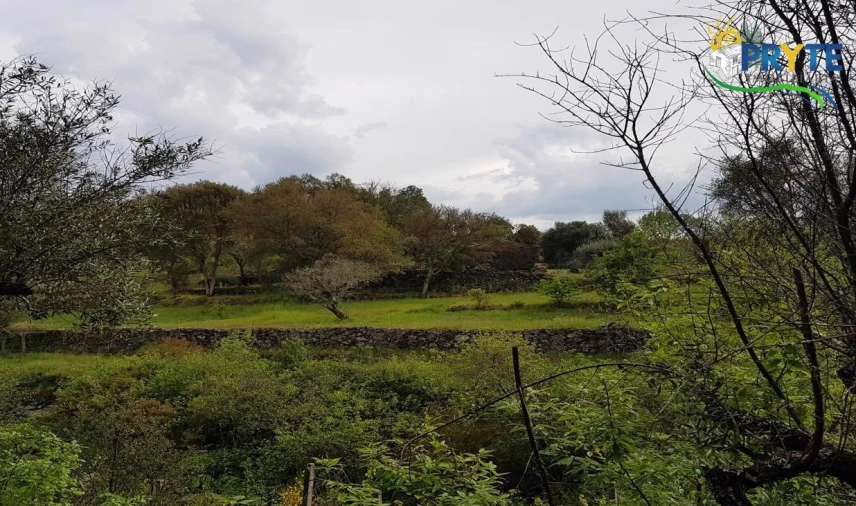 Quinta para Venda em Pedrogão Pequeno Foto 59