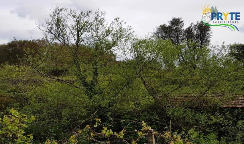 Quinta para Venda em Pedrogão Pequeno Foto 60