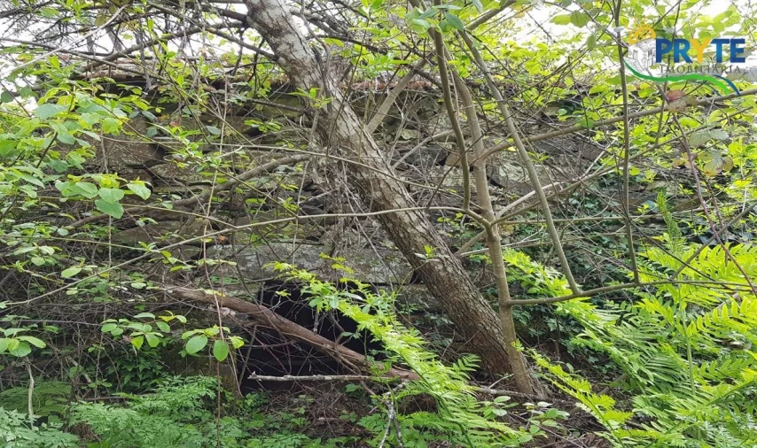 Quinta para Venda em Pedrogão Pequeno Foto 62