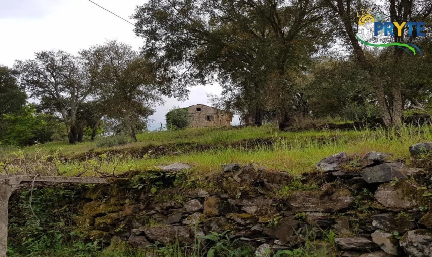 Quinta para Venda em Pedrogão Pequeno Foto 64