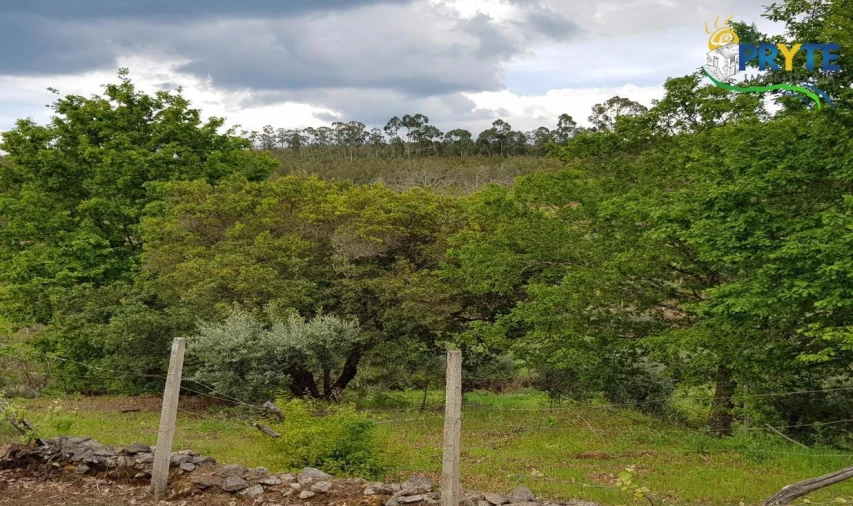 Quinta para Venda em Pedrogão Pequeno Foto 71