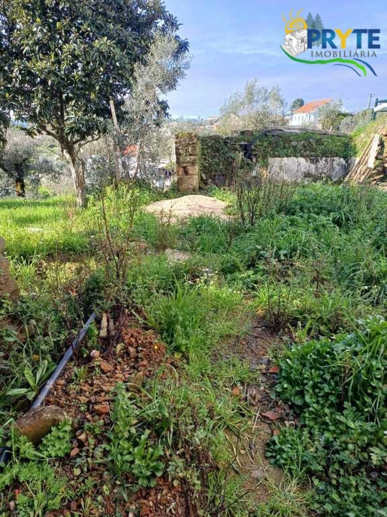 Terreno para Venda em Sertã Foto 7