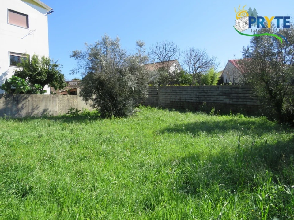 Terreno para Venda em Cernache do Bonjardim, Nesperal e Palhais Foto 7