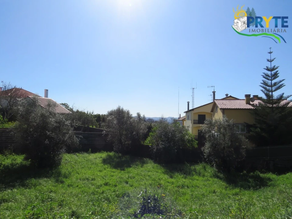 Terreno para Venda em Cernache do Bonjardim, Nesperal e Palhais Foto 8