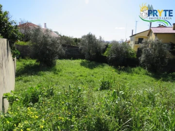 Terreno para Venda em Cernache do Bonjardim, Nesperal e Palhais