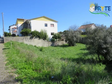Terreno para Venda em Cernache do Bonjardim, Nesperal e Palhais