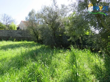 Terreno para Venda em Cernache do Bonjardim, Nesperal e Palhais