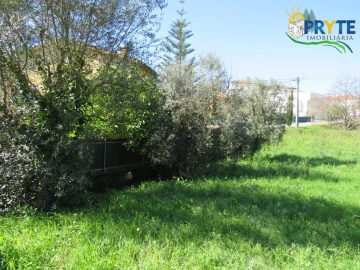 Terreno para Venda em Cernache do Bonjardim, Nesperal e Palhais