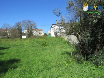Terreno para Venda em Cernache do Bonjardim, Nesperal e Palhais