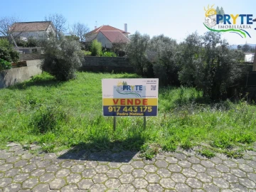 Terreno para Venda em Cernache do Bonjardim, Nesperal e Palhais