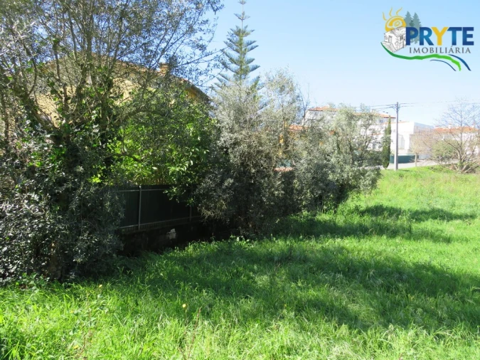 Terreno para Venda em Cernache do Bonjardim, Nesperal e Palhais Foto 10