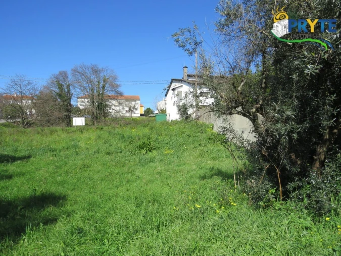 Terreno para Venda em Cernache do Bonjardim, Nesperal e Palhais Foto 11