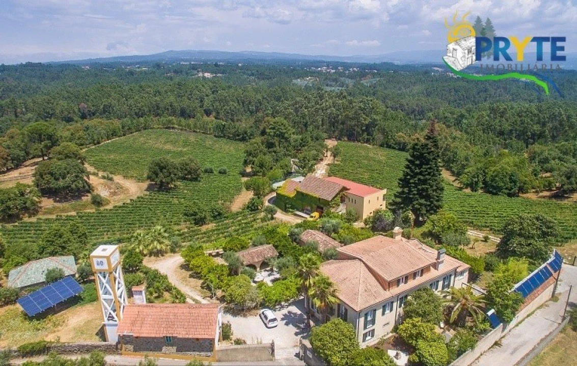 Quinta T9 para Venda em Cernache do Bonjardim, Nesperal e Palhais Foto 2