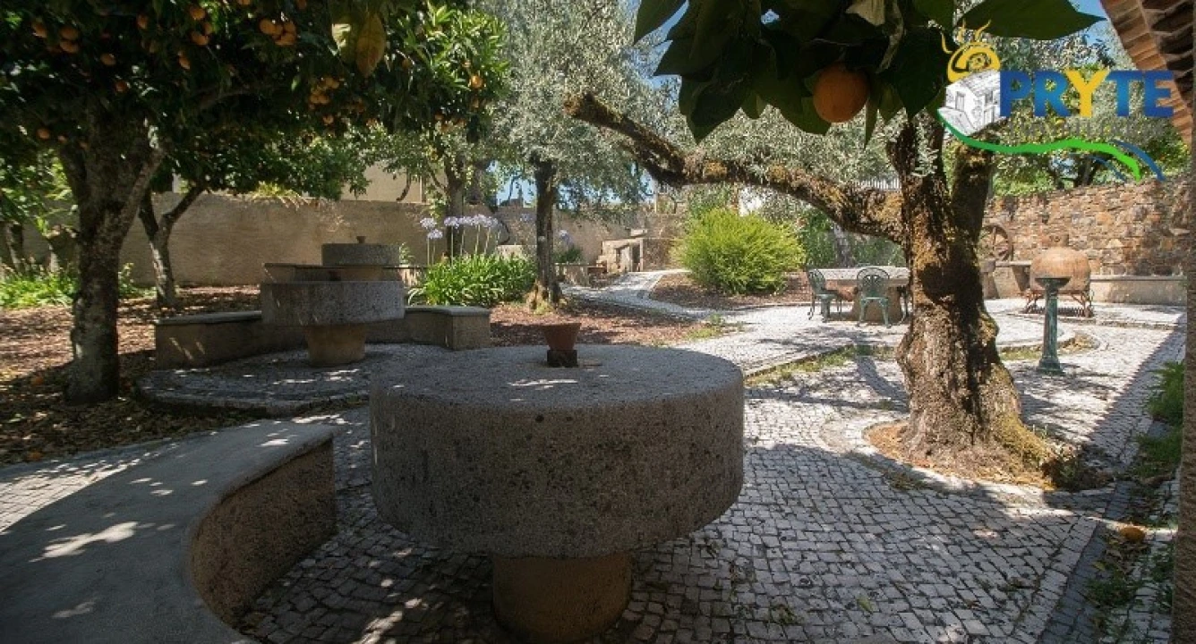 Quinta T9 para Venda em Cernache do Bonjardim, Nesperal e Palhais Foto 3