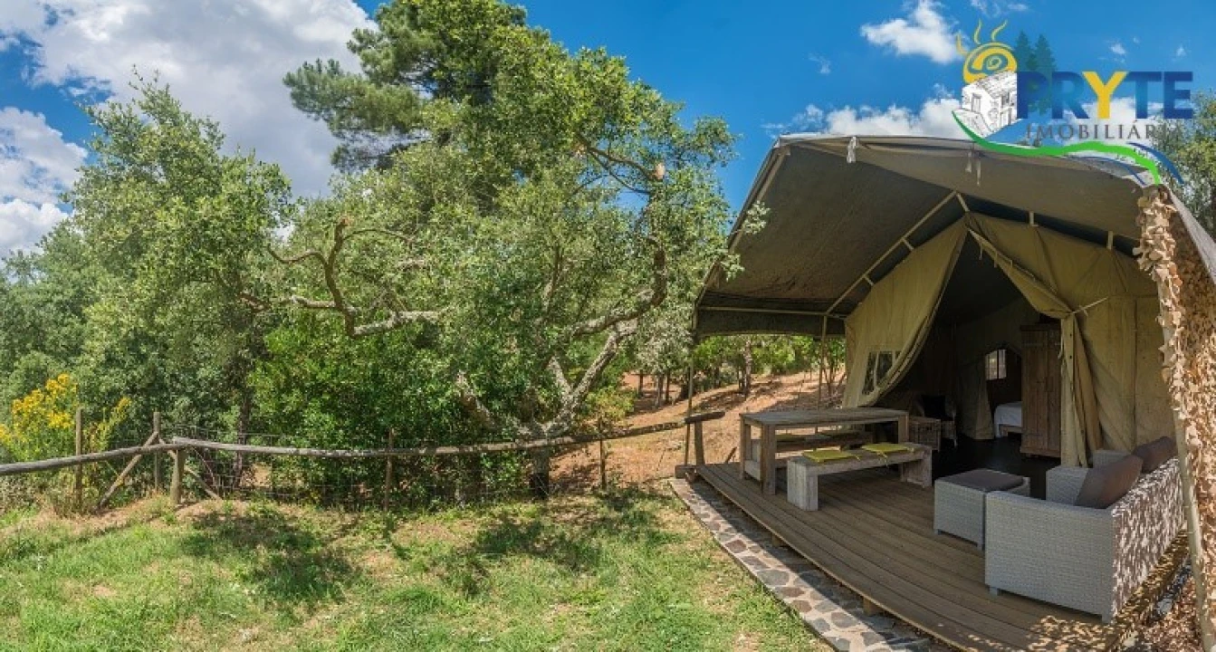 Quinta T9 para Venda em Cernache do Bonjardim, Nesperal e Palhais Foto 4