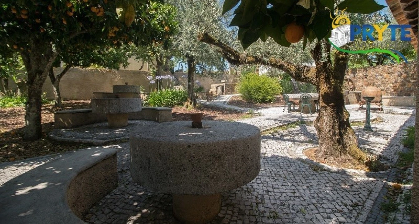 Quinta T9 para Venda em Cernache do Bonjardim, Nesperal e Palhais Foto 7