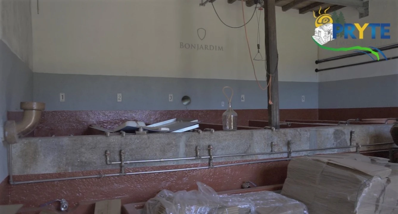 Quinta T9 para Venda em Cernache do Bonjardim, Nesperal e Palhais Foto 11