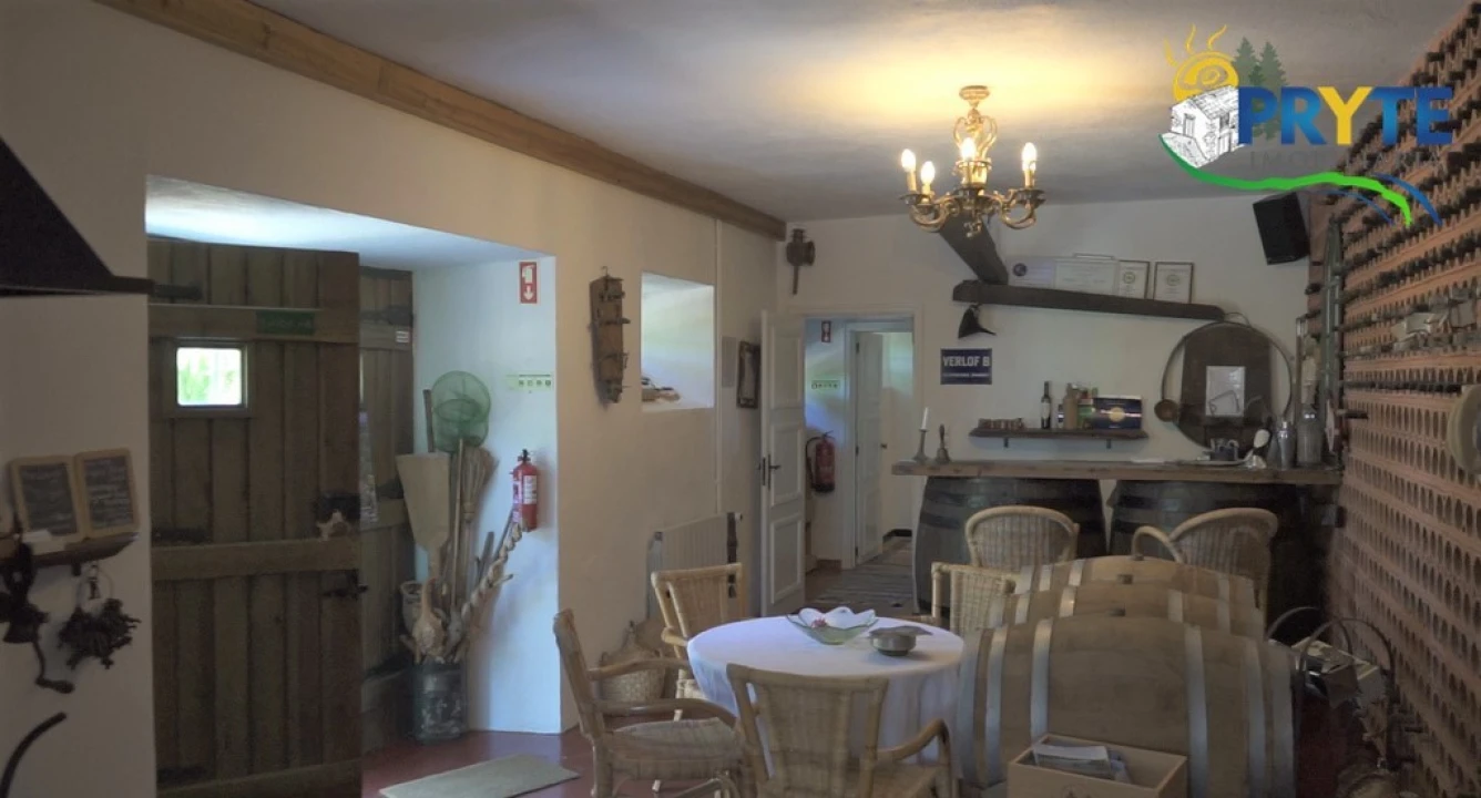 Quinta T9 para Venda em Cernache do Bonjardim, Nesperal e Palhais Foto 12