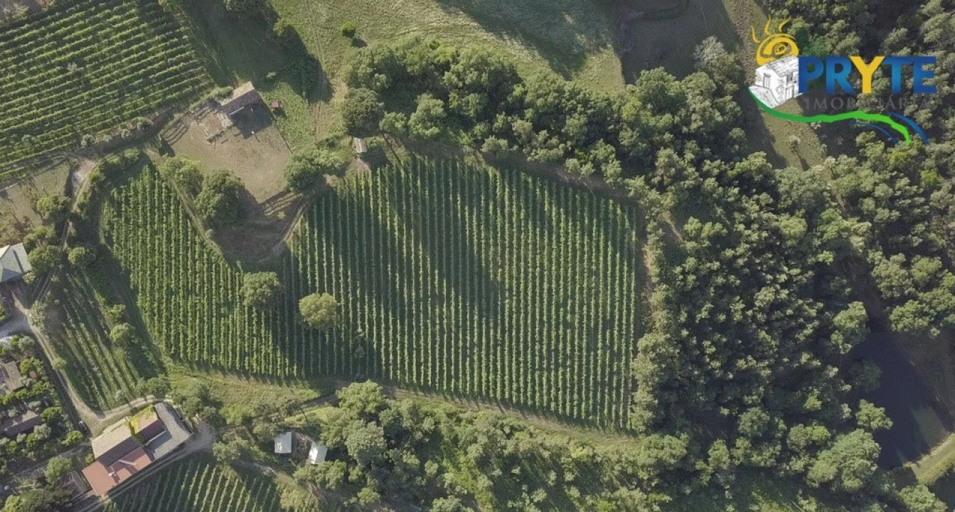 Quinta T9 para Venda em Cernache do Bonjardim, Nesperal e Palhais Foto 14