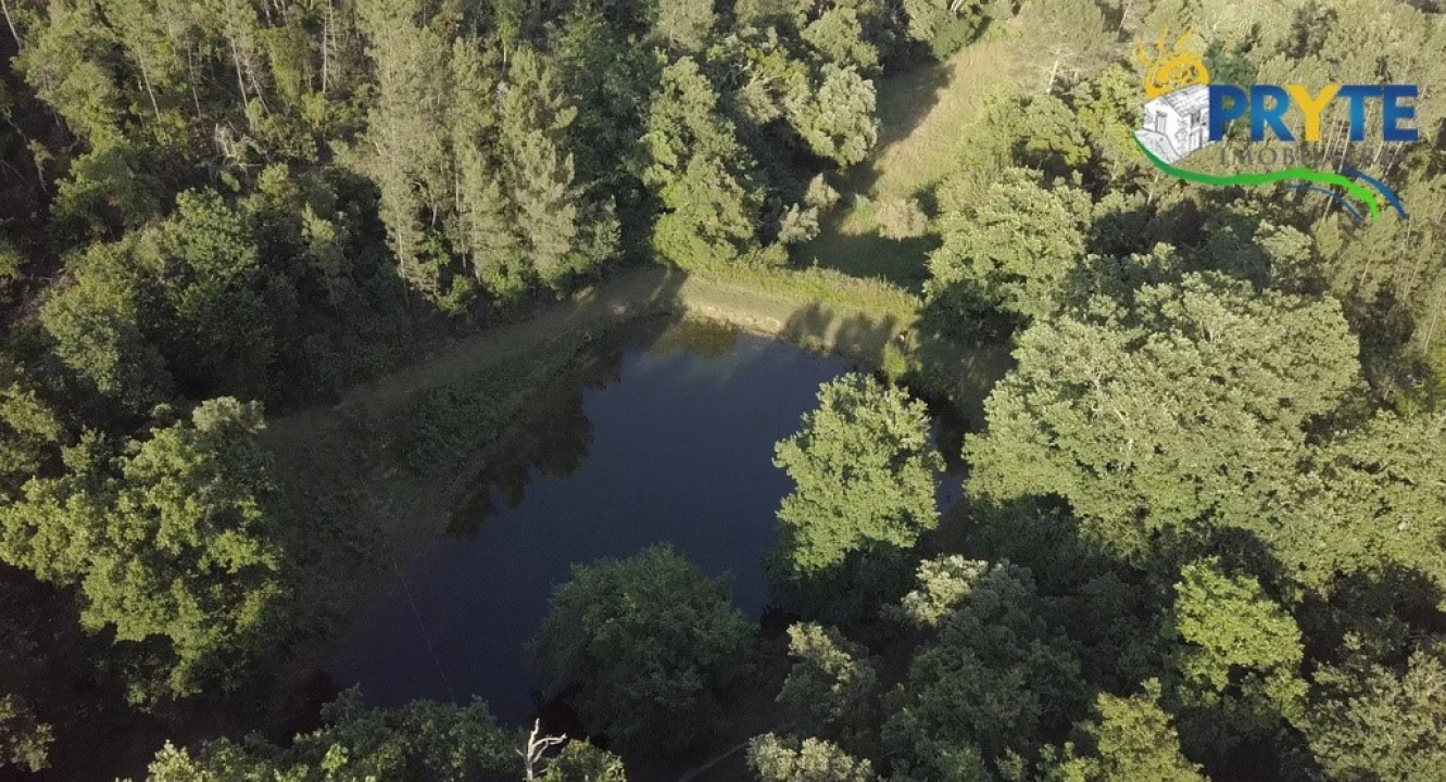Quinta T9 para Venda em Cernache do Bonjardim, Nesperal e Palhais Foto 15