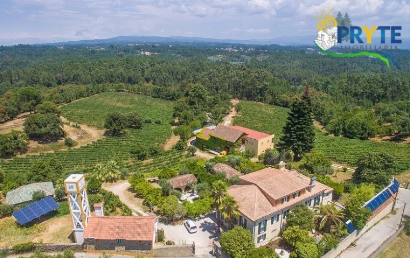 Quinta T9 para Venda em Cernache do Bonjardim, Nesperal e Palhais Foto 5