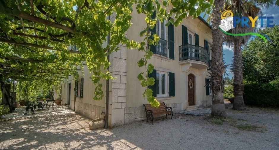 Quinta T9 para Venda em Cernache do Bonjardim, Nesperal e Palhais Foto 6