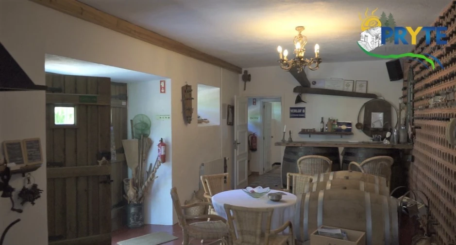 Quinta T9 para Venda em Cernache do Bonjardim, Nesperal e Palhais Foto 12