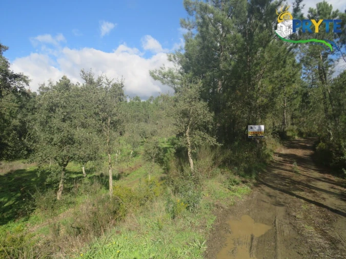 Terreno para Venda em Cumeada e Marmeleiro