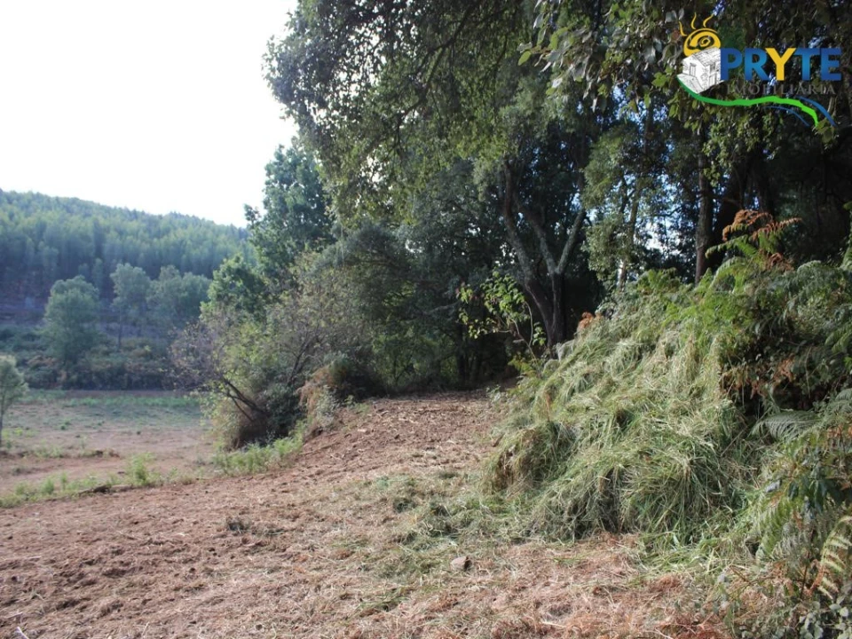 Quinta para Venda em Pedrogão Grande Foto 16