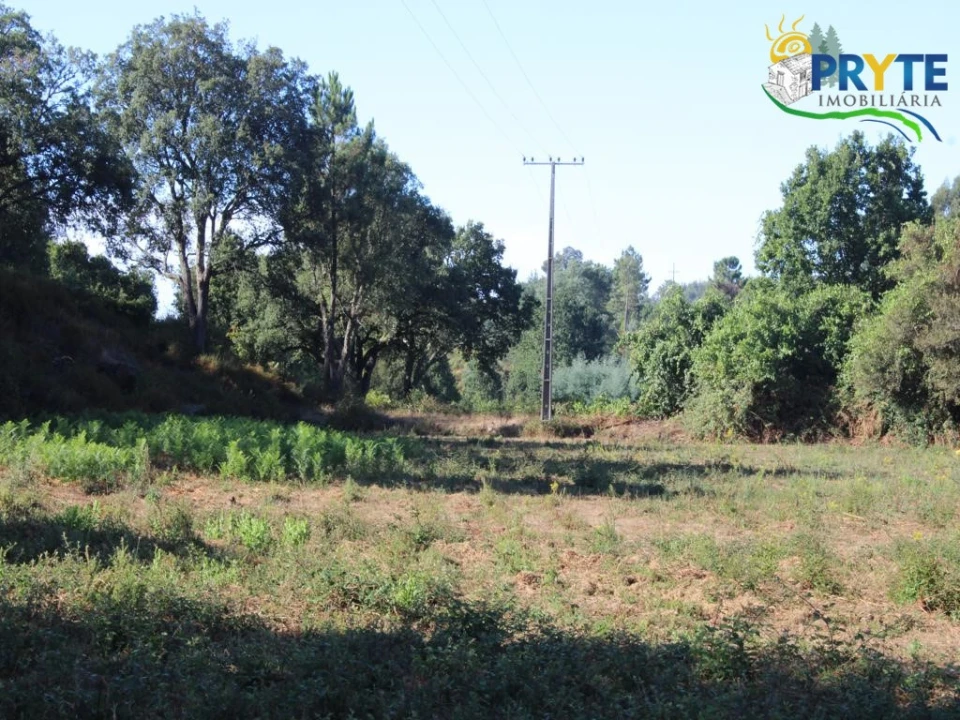 Quinta para Venda em Pedrogão Grande Foto 17