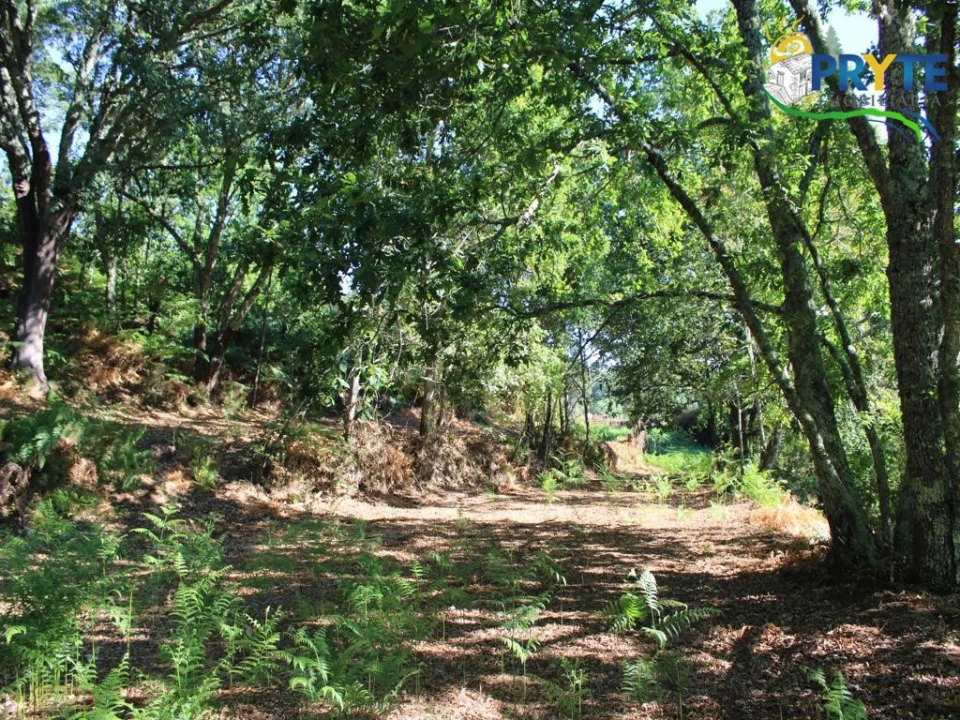 Quinta para Venda em Pedrogão Grande Foto 18