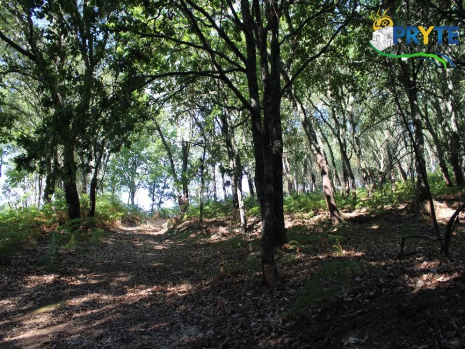 Quinta para Venda em Pedrogão Grande Foto 24