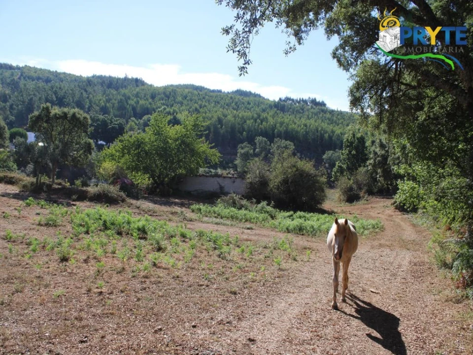 Quinta para Venda em Pedrogão Grande Foto 25