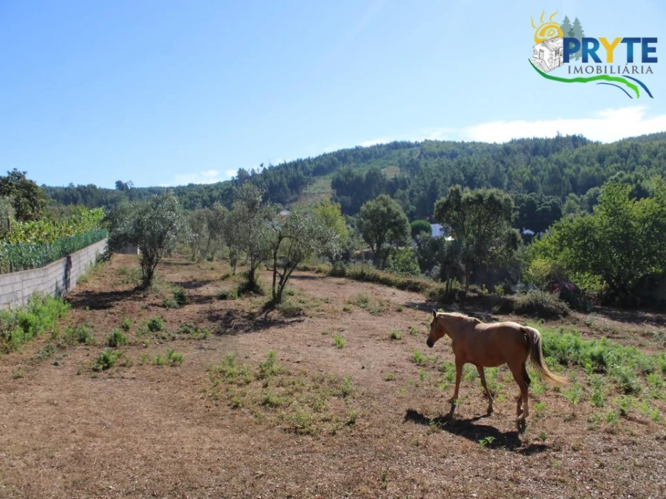 Quinta para Venda em Pedrogão Grande Foto 26