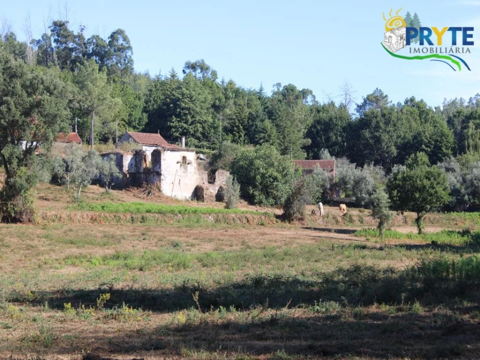 Quinta para Venda em Pedrogão Grande Foto 37