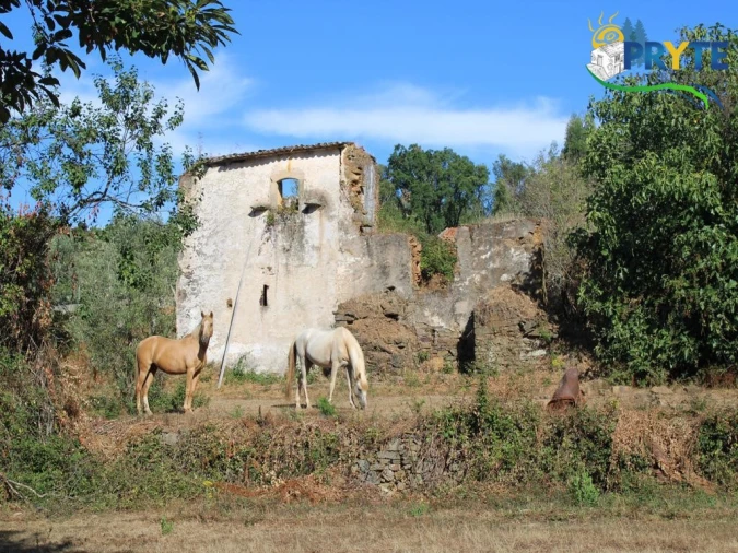 Quinta para Venda em Pedrogão Grande Foto 1