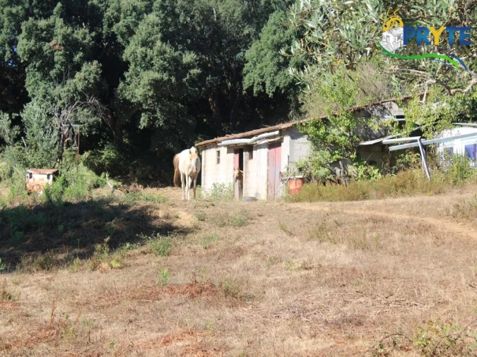 Quinta para Venda em Pedrogão Grande Foto 10