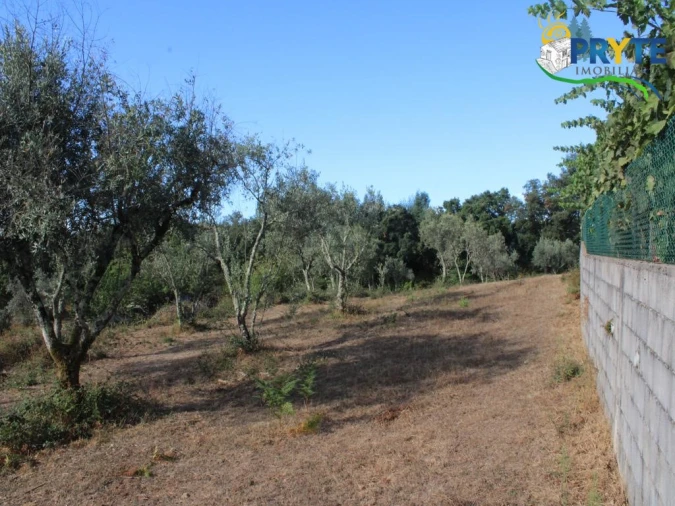 Quinta para Venda em Pedrogão Grande Foto 11