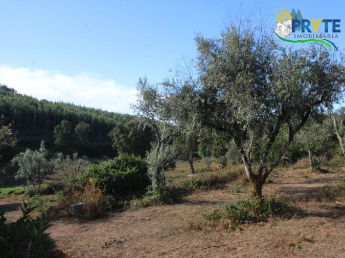 Quinta para Venda em Pedrogão Grande Foto 13