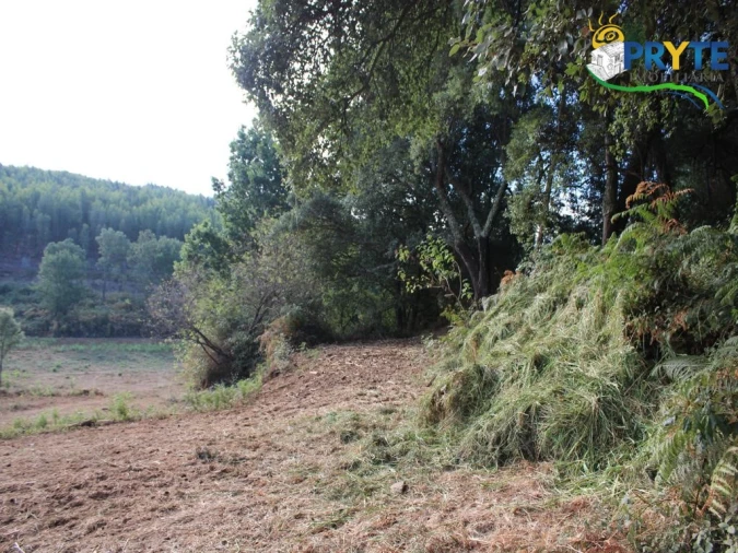 Quinta para Venda em Pedrogão Grande Foto 16