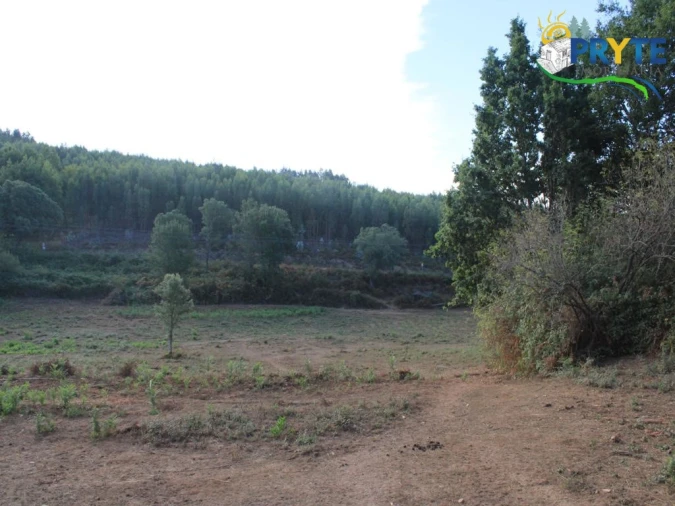 Quinta para Venda em Pedrogão Grande Foto 21