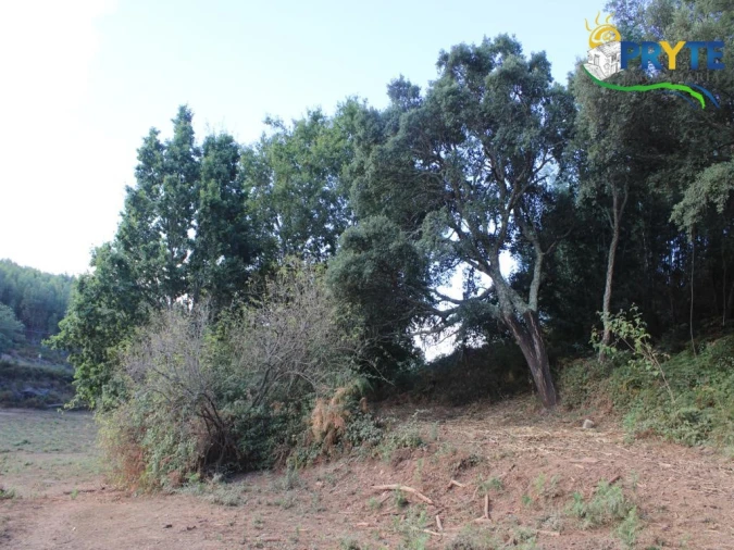 Quinta para Venda em Pedrogão Grande Foto 22