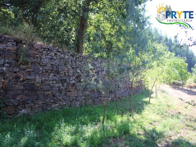 Quinta para Venda em Pedrogão Grande Foto 23