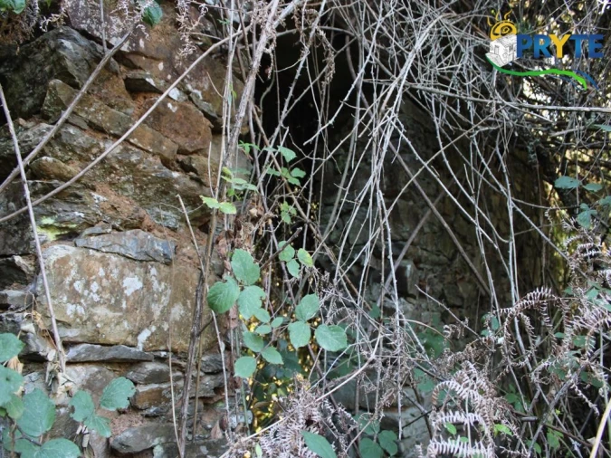 Quinta para Venda em Pedrogão Grande Foto 27