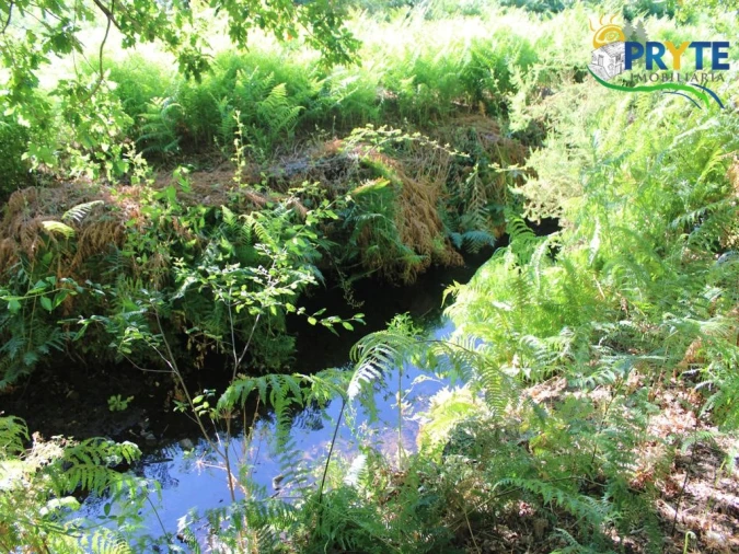 Quinta para Venda em Pedrogão Grande Foto 30