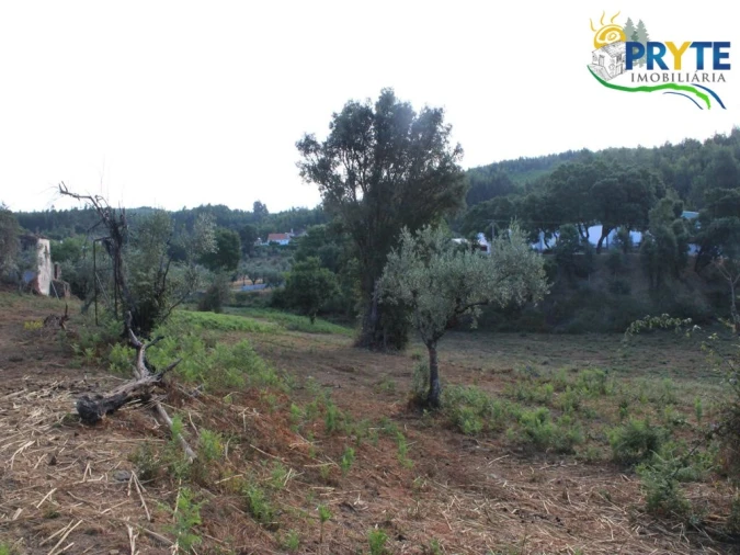 Quinta para Venda em Pedrogão Grande Foto 31