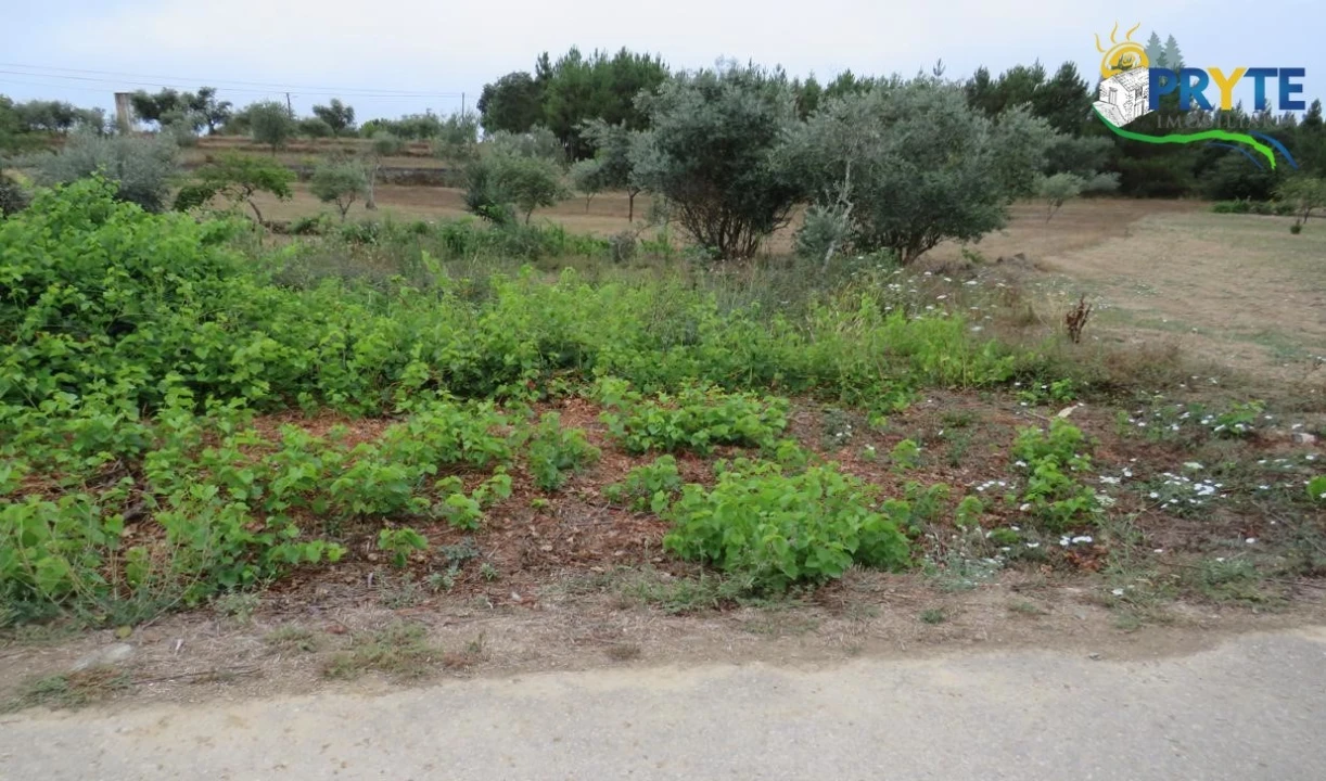 Terreno para Venda em Fundada Foto 9