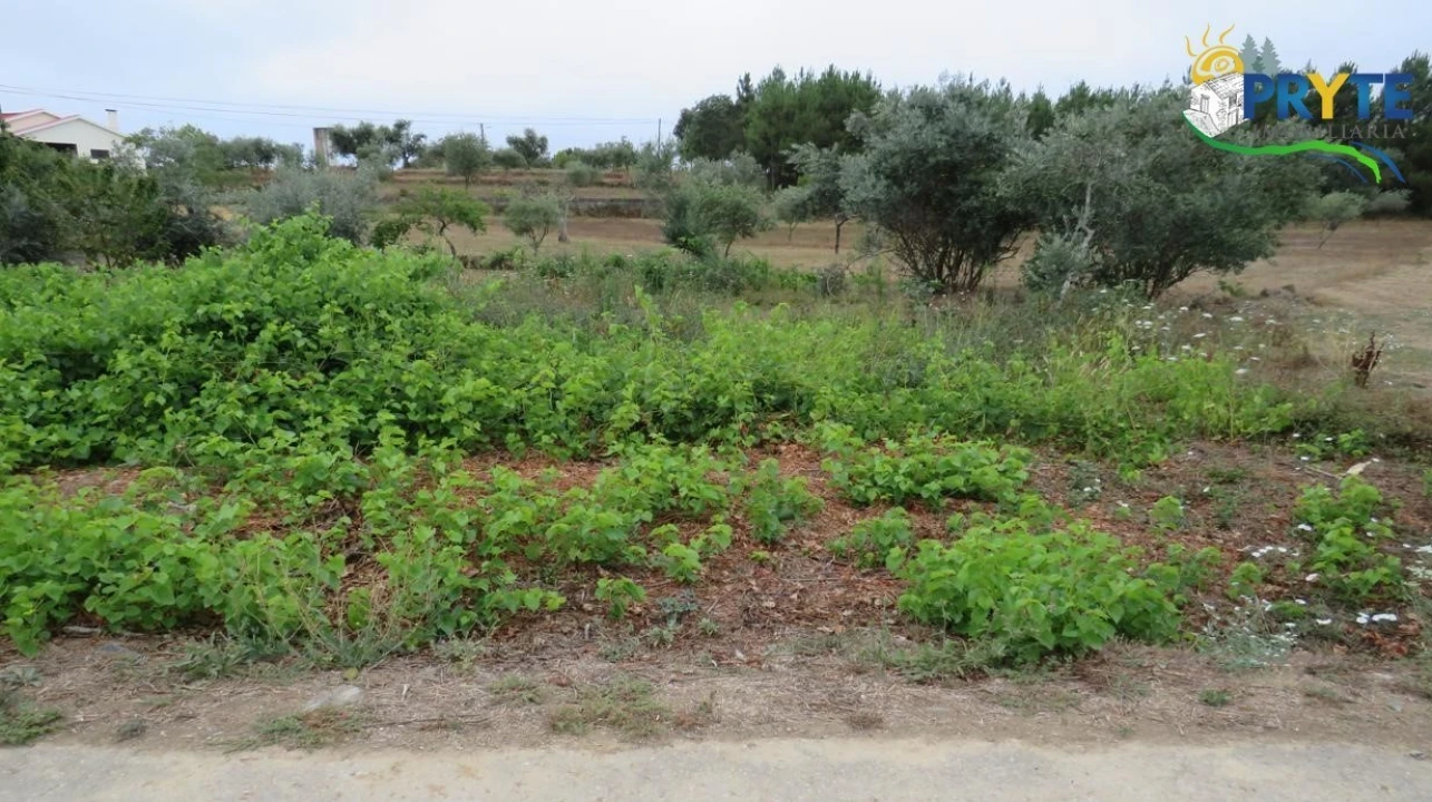 Terreno para Venda em Fundada Foto 1
