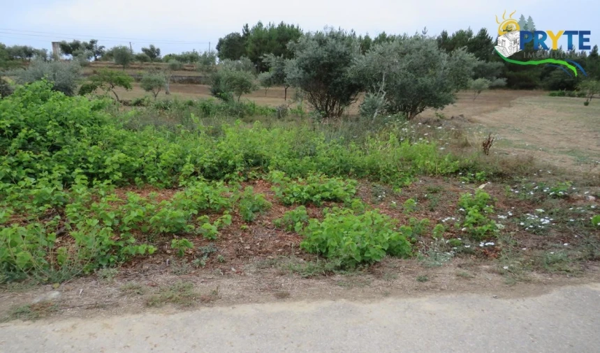 Terreno para Venda em Fundada Foto 9