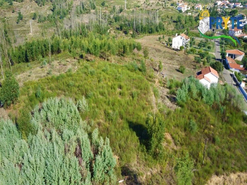 Terreno para Venda em Belver Foto 3